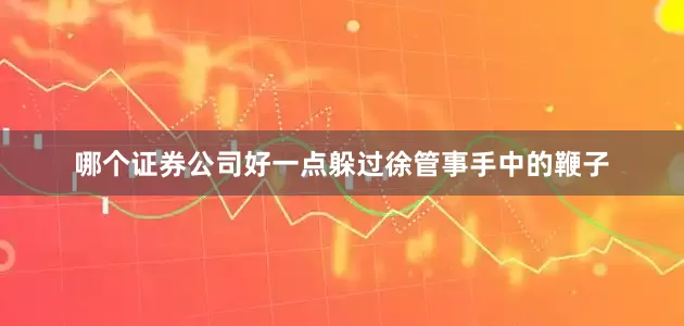 哪个证券公司好一点躲过徐管事手中的鞭子
